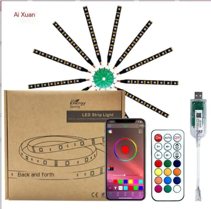 LED Firework String Lights with Bluetooth Color Effects